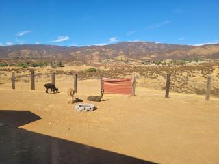 Alpaca Rustic Ranch-peaceful & breathtaking views - 1