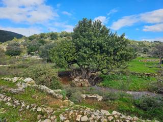 Casa Galilea חופשה גלילית עם בריכה פרטית וג'קוזי - 3