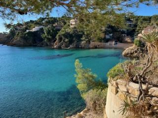 Un petit coin de paradis - Studio Pura Vida, à 200m de la plage dans une calanque préservée - Ensuès-la-Redonne - 6