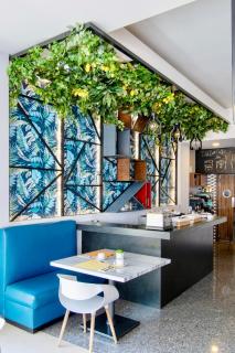 Hotel Velvet Plaza - Guadalajara - 7