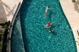 Dreamer Palomino - 5