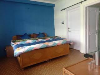 Check-in & Chill - Dharamshala - 7