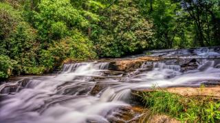 The Cascades Inn-Waterfall Retreat - Tiger - 9