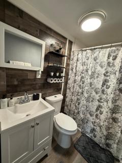 Luxury Getaway Heart Of Atl - Atlanta - 4