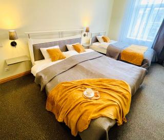 Penthouse with Private Rooftop - Rīga - 3