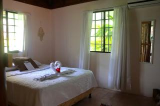 Sea View hotel lots of animals friendly hosts - Manuel Antonio - 5