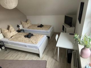 Pension Platzhirsch Eichsfeld - - 8