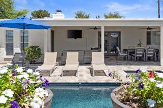 Hackamore - Mesa - 3