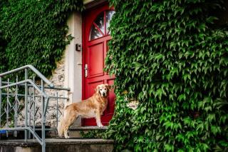 Ferienhaus Rote Sau - 5