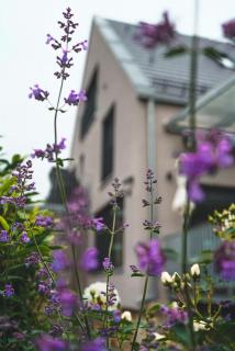 Freistehendes Ferienhaus Renkenmühle näher kann man am Wasser nicht wohnen - Eberbach - 4