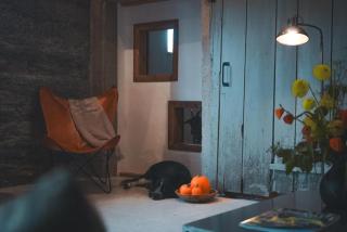 Landurlaub mit neugierigen Blicken in den Pferdestall, eingezäuntem Garten, Kamin und Sauna - Rot am See - 6