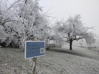 Ferienhaus Taubenhof - 2