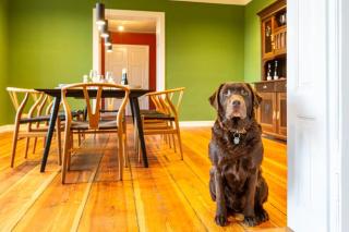 Ferienhaus Forsthaus Stolpe - - 8