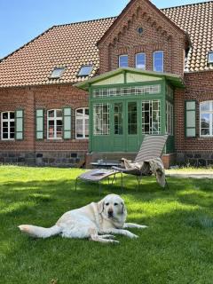 Ferienhaus Forsthaus Stolpe - - 6