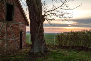 Ferienhaus Forsthaus Stolpe - - 4