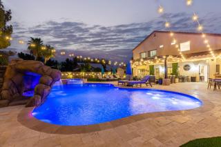 The Grand Saguaro - Gilbert - Gilbert - 7