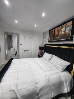 Three bedrooms Luxury City Centre Home - Belfast - 2