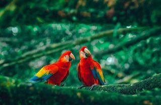 Barra Bonita Pousada - 8