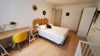 Appartement T3 au Centre ville de Pau - Pau - 3