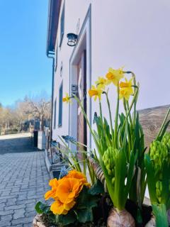 Haus Erna Weitra - 1