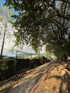 Casa Pelicano - Uvita - 1