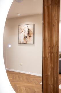 Luxury 2 Bedroom Apartment SPA - Breakfast - FREE Parking - Bansko - 9