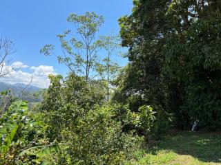 Cabaña el Mango - Rivas - 3