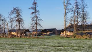 Glamping Franse Peer - Hasselt - 6