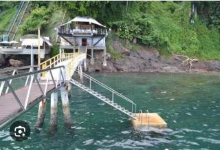 Vitoria da Alegria - 5