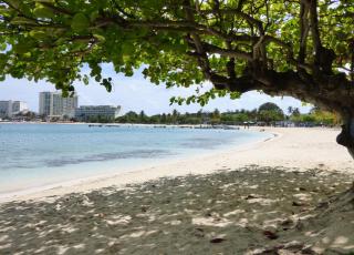 Beach One Bedroom Suite A29 - Ocho Rios - 5