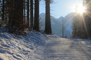 Zederberg Appartements - 8