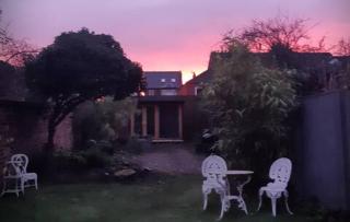 Julian Garden - Nottingham - 4