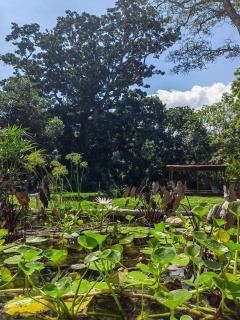 Treehouse Tayrona - Santa Marta - 0