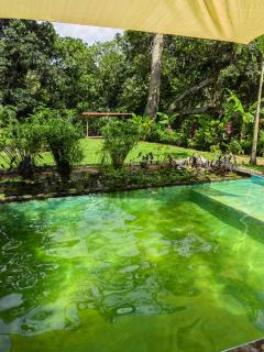 Treehouse Tayrona - Santa Marta - 2