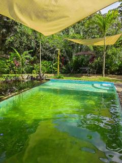 Treehouse Tayrona - Santa Marta - 1