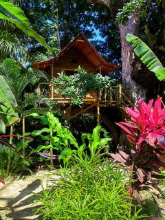 Treehouse Tayrona - Santa Marta - 8