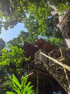 Treehouse Tayrona - Santa Marta - 0