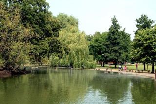 Fantastic Family Friendly House in Brixton - Londra - 9