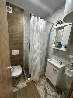 Apartmani Mojić Divčibare 2 - Divčibare - 6