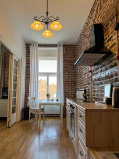 Charming Apartment in Timisoara Top Center - Timişoara - 8