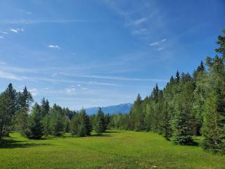 Pine Marten Wilderness Cabin - Hot Tub & Mountain Views - 3