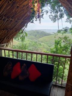Finca Alto Bonito - Doradal - 9