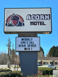 Acorn Motel - Black Mountain - 9