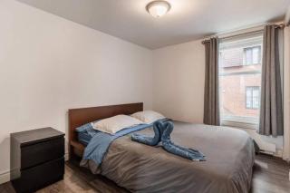 Spacious 2 bedrooms Apartment 1896 - Montreal - 5