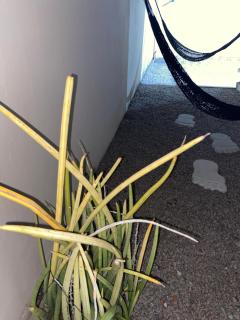 Sobrado Luar dos Carneiros 1 Tamandaré Bech - 4