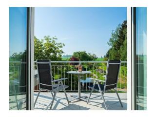 Holiday Apartment Haus Teichblick - Großzschepa - 9
