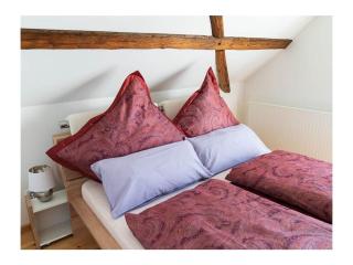 Holiday Apartment Haus Teichblick - Großzschepa - 1