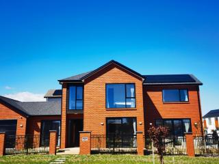 Spacious Getaway in Cambridge - 4 Bedrooms House with 3 bathrooms - Cambridge - 8