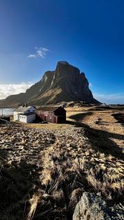 Prestholmen Værøy Lofoten - 9