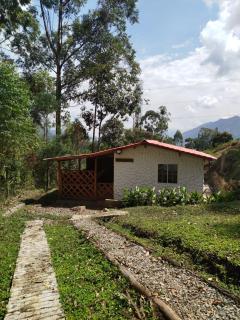 Cabaña Otro Mundo - Angelópolis - 0